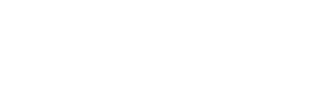 flush factor plus